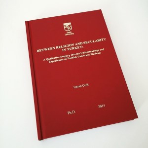 Emrah Celik PhD Thesis